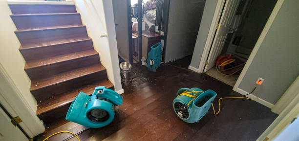 Best Water damage mitigation services  in Othello, WA