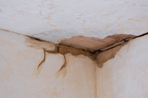 Best Ceiling water damage repair  in Othello, WA