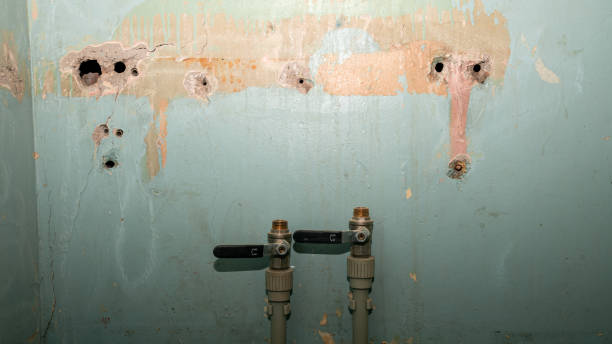 Best Water damage restoration near me  in Othello, WA