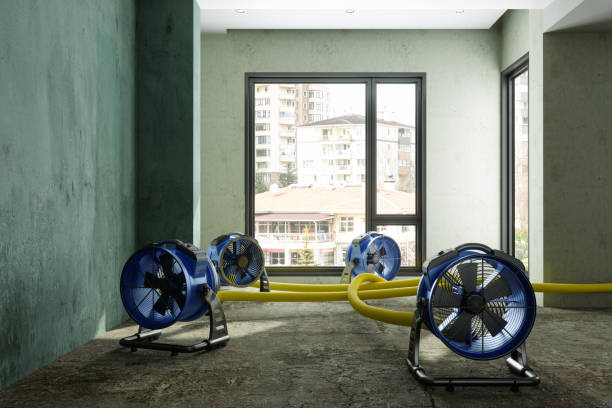 Best 24/7 water damage repair  in Othello, WA